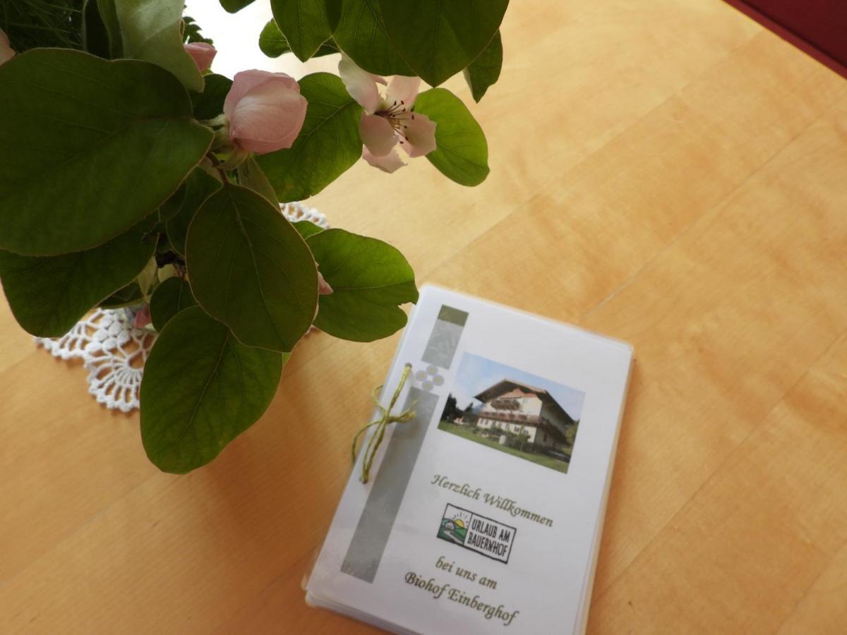 Bio-Bauernhof Einberghof Apartment Pfarrwerfen Bagian luar foto