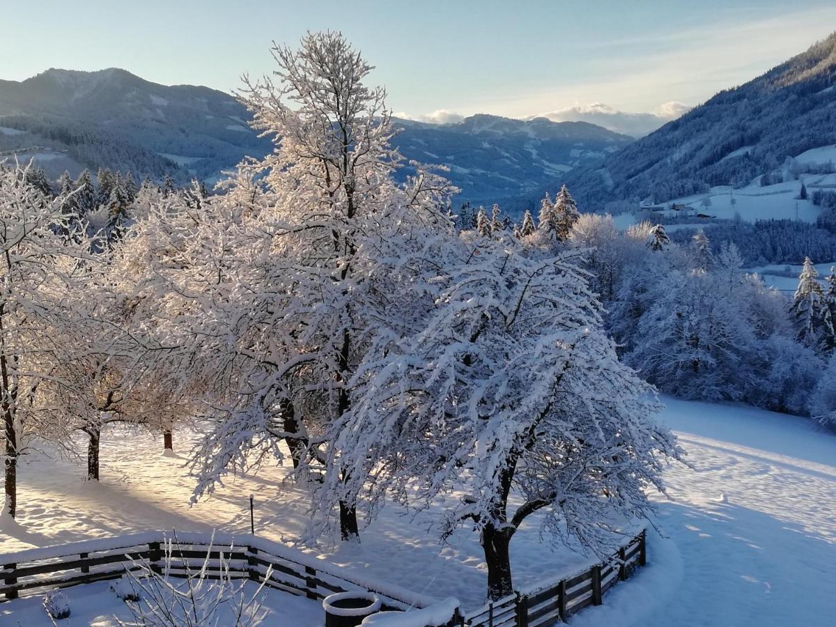 Bio-Bauernhof Einberghof Apartment Pfarrwerfen Bagian luar foto