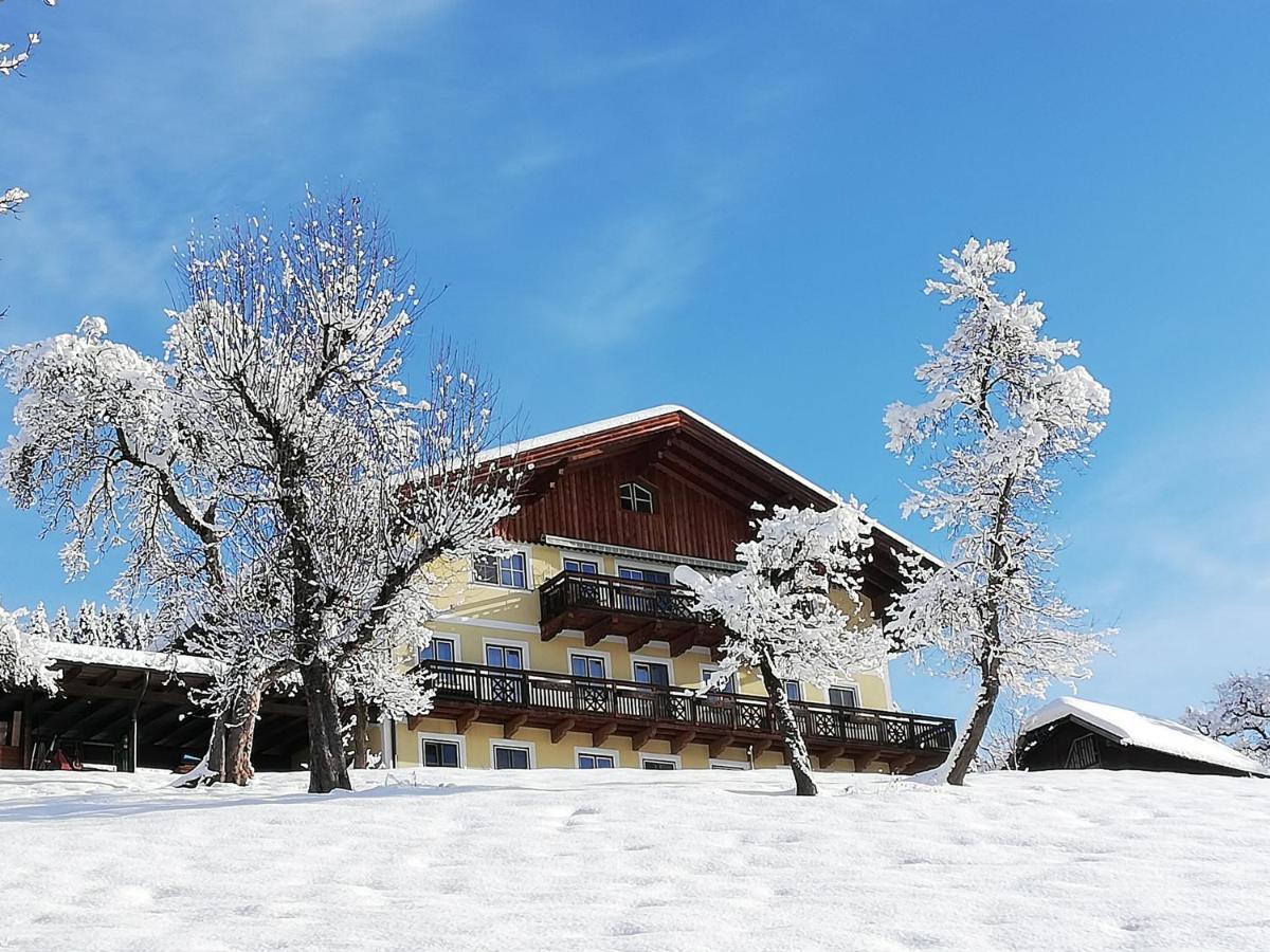 Bio-Bauernhof Einberghof Apartment Pfarrwerfen Bagian luar foto