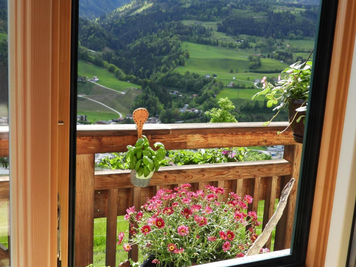 Bio-Bauernhof Einberghof Apartment Pfarrwerfen Bagian luar foto