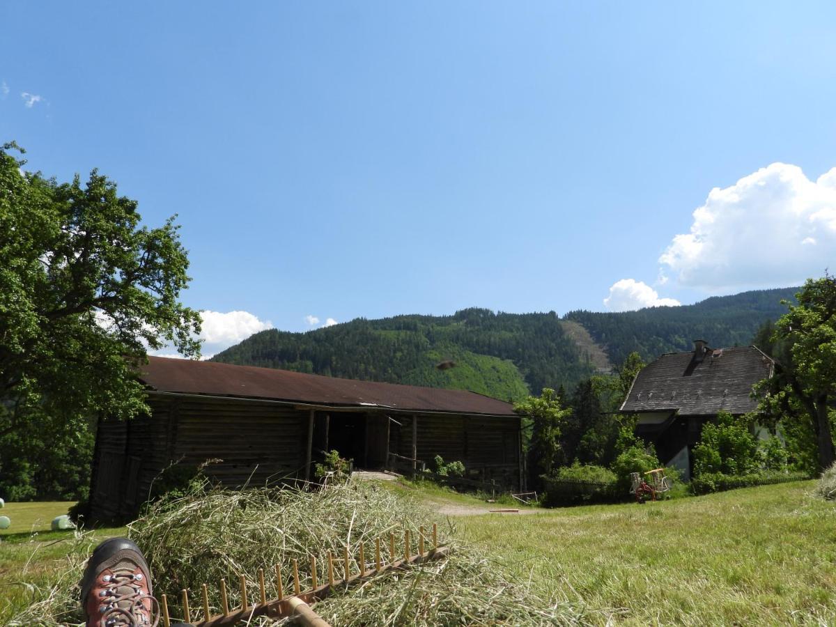 Bio-Bauernhof Einberghof Apartment Pfarrwerfen Bagian luar foto