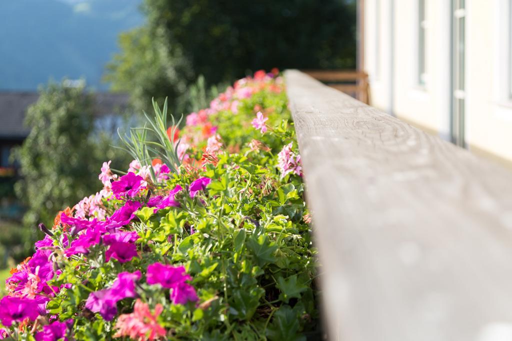 Bio-Bauernhof Einberghof Apartment Pfarrwerfen Bagian luar foto
