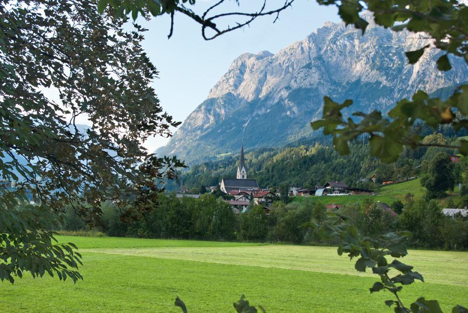 Bio-Bauernhof Einberghof Apartment Pfarrwerfen Bagian luar foto