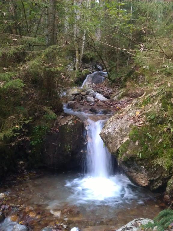 Bio-Bauernhof Einberghof Apartment Pfarrwerfen Bagian luar foto