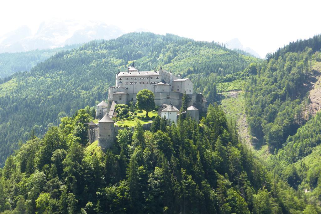 Bio-Bauernhof Einberghof Apartment Pfarrwerfen Bagian luar foto