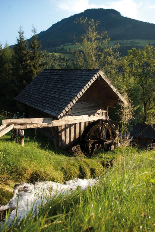 Bio-Bauernhof Einberghof Apartment Pfarrwerfen Bagian luar foto