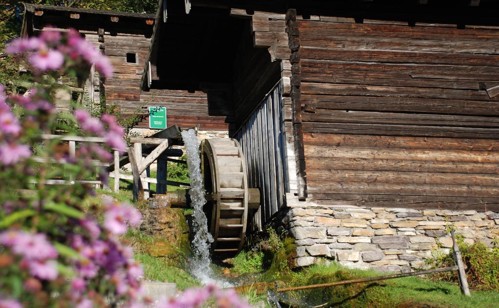 Bio-Bauernhof Einberghof Apartment Pfarrwerfen Bagian luar foto