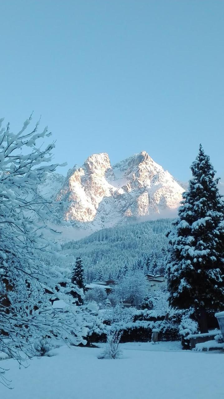 Bio-Bauernhof Einberghof Apartment Pfarrwerfen Bagian luar foto